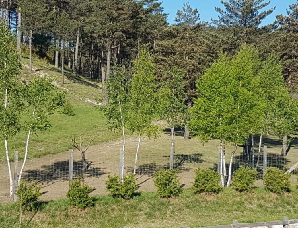 Domaine De L'Auspeliere Hotel Greolieres Exterior foto